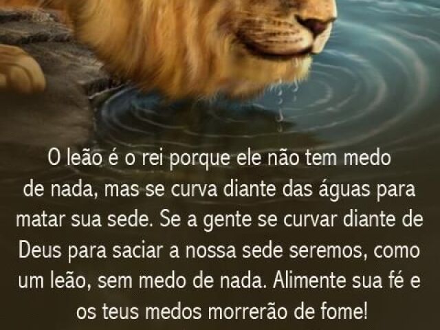 O leão é o rei porque ele não tem medo de nada… Mas se curva diante das águas para matar sua sede… se a gente se curvar diante de Deus para saciar nossa sede, Seremos com leão, sem medo de nada alimente sua fé e os teus medos morrerão de fome.