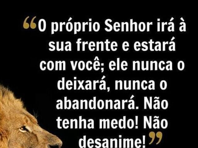 O Própio Senhor irá a sua frente e estará com você; ele nunca o deixará, nunca o abandonará. Não tenha medo! Não desanime!