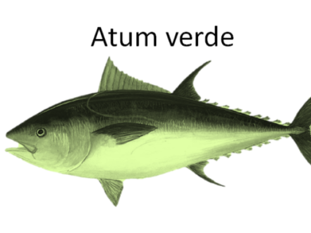 Atum Verde