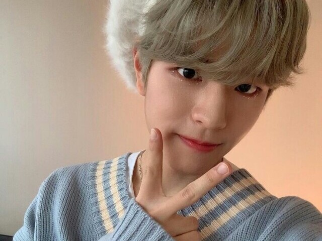 Seungmin (Stray Kids)