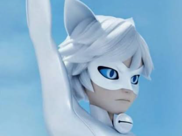 Cat Blanc