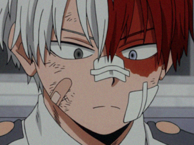 Todoroki ❤️