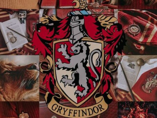 Grifinoria 💓🦁