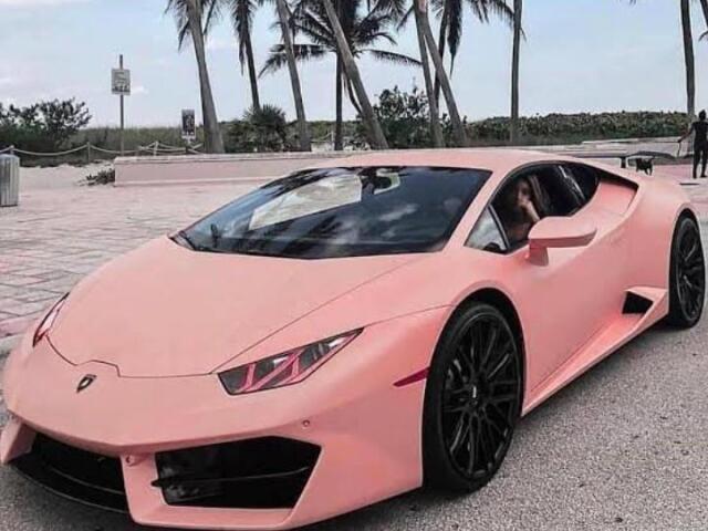 🎀✨