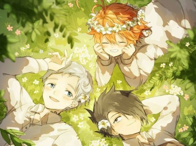 The promised Neverland