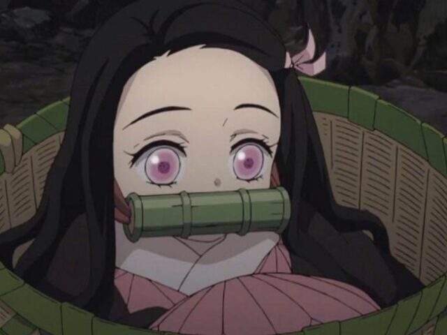 🌸nezuko kamado🌸