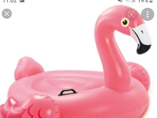 Flamingo