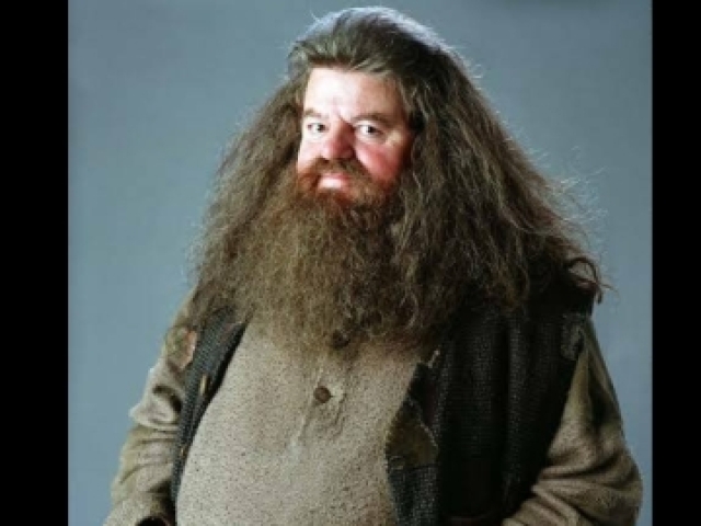 Rubéo Hagrid