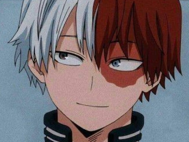 Shoto Todoroki