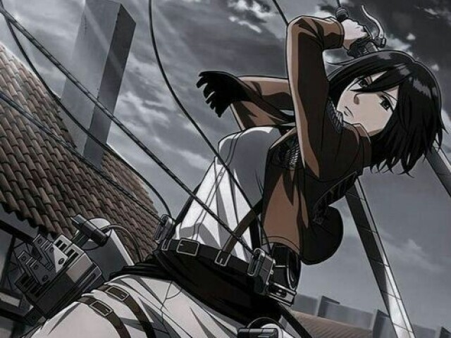 Mikasa