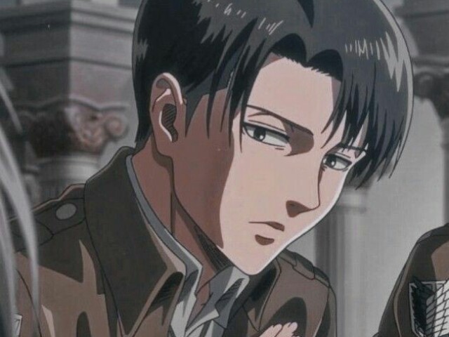 Levi