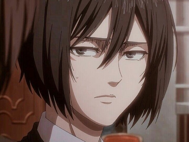 Mikasa
