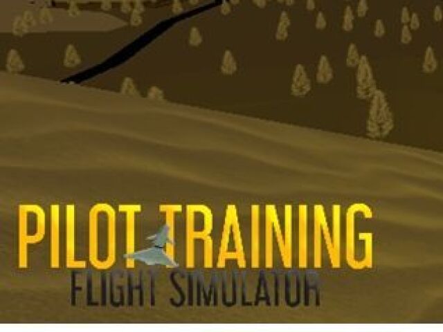 Pilot Training Fligth Simulator