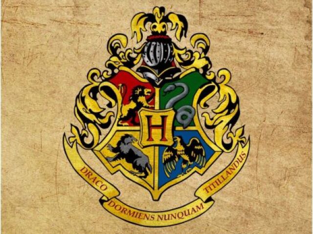 Qual seria sua casa em Hogwarts?