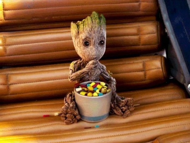 groot 🪵