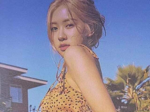 Rosé✨