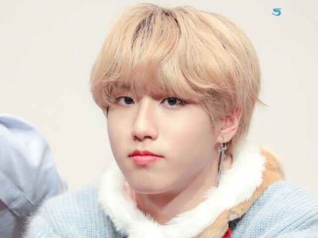 Jisung (Stray Kids)