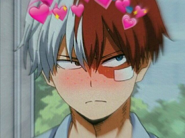 Shoto Todoroki