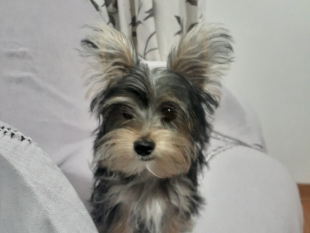 5MESES