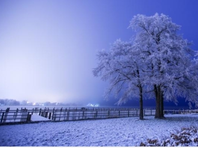 Frio