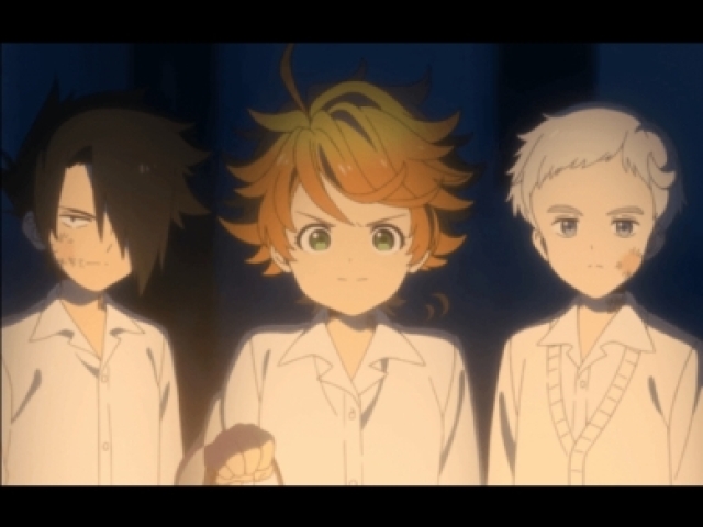 The promised neverland