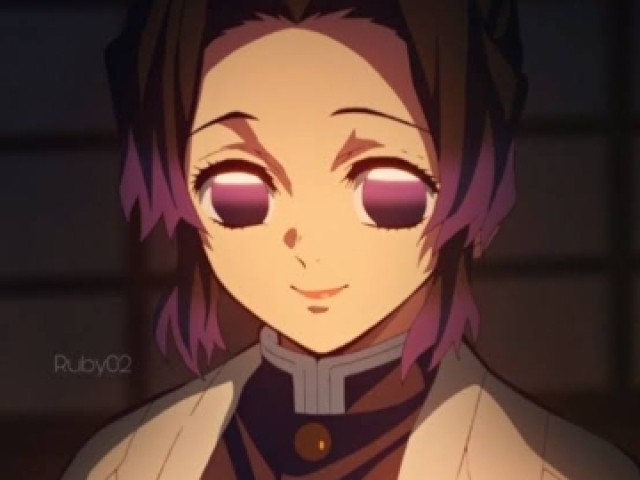 Hashira dos insetos
