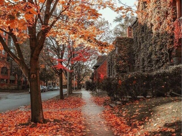 Outono 🍂