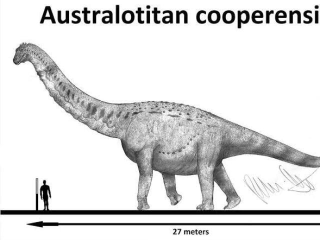 Australotitan cooperensis