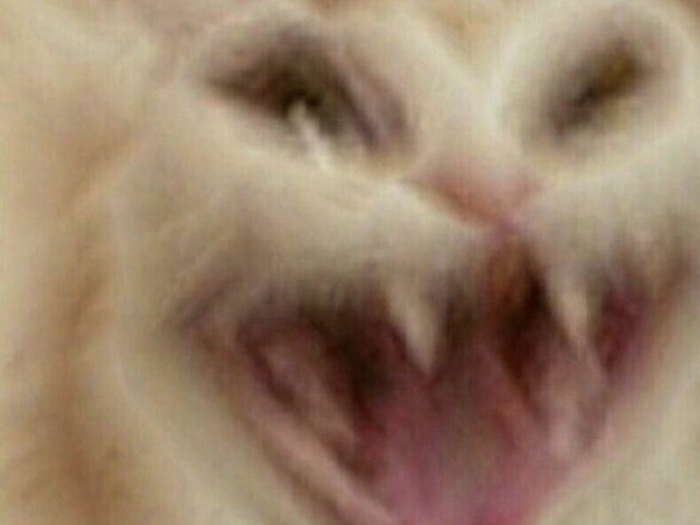30 e 33