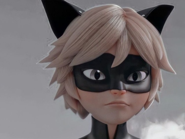 Cat noir