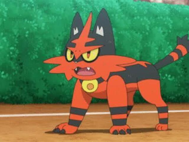 Torracat