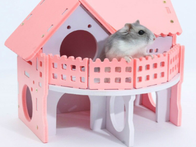 Oque é perfeito?Eu: essa casinha para hamster👑