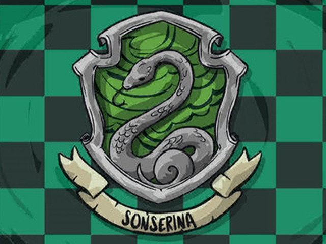 Sonserina! 🟢⚪️🟢⚪️