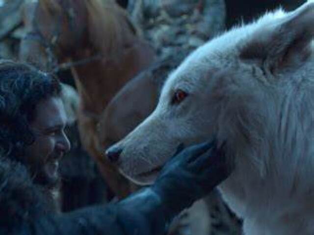 Lobo