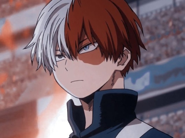 O Todoroki, os dois vão amar ficar junto 737