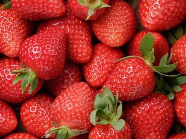 🍓Morango🍓