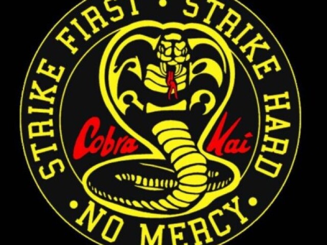 Você conhece Cobra Kai?