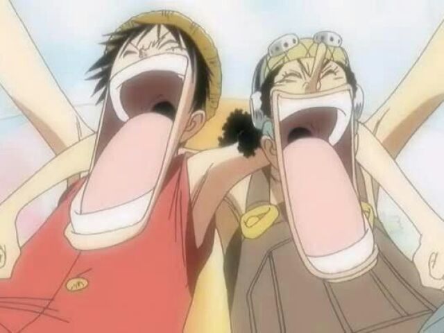 Luffy e Usopp