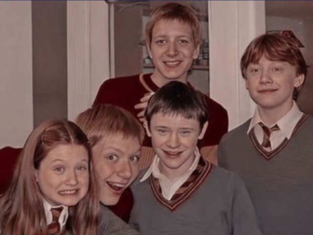 {°•Qual dos Weasleys seria seu amigo?•°}