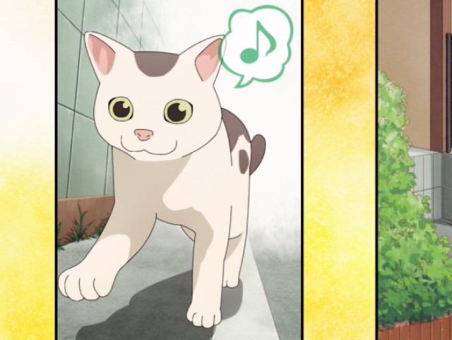 Gin, gatinho do Tatsu