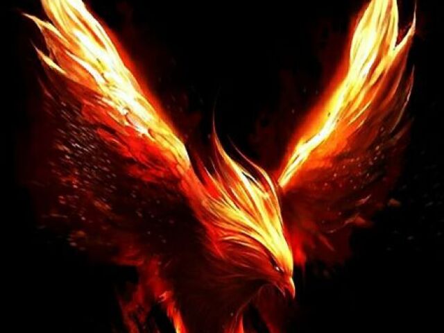 Fenix