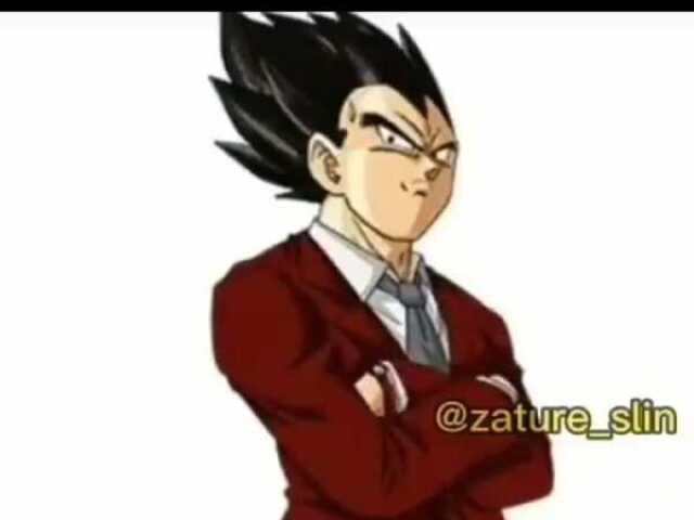 Vegeta crente