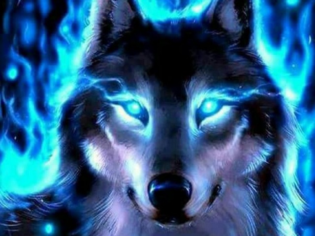 Lobo