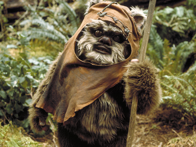 Ewok