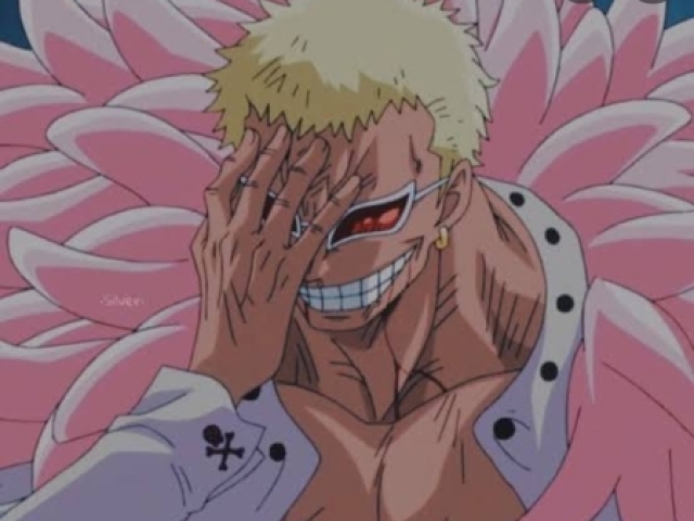 Domquixote doflamingo