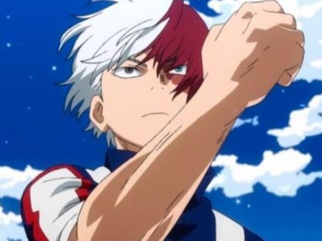 Shoto Todoroki