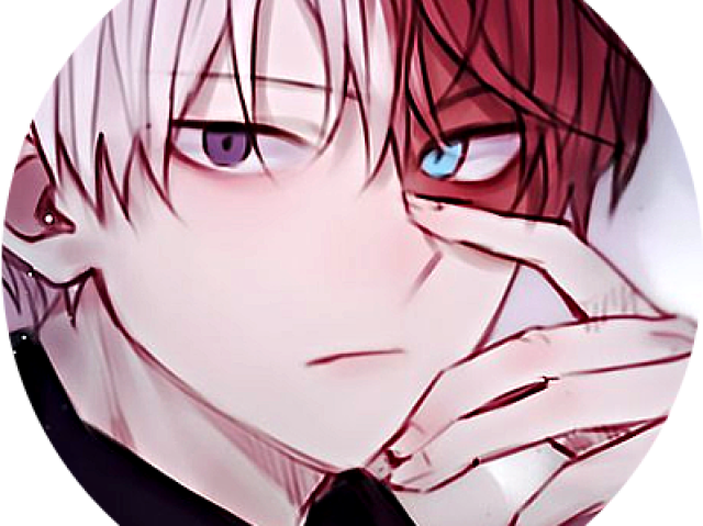 Você conhece o Shoto Todoroki de BNHA?