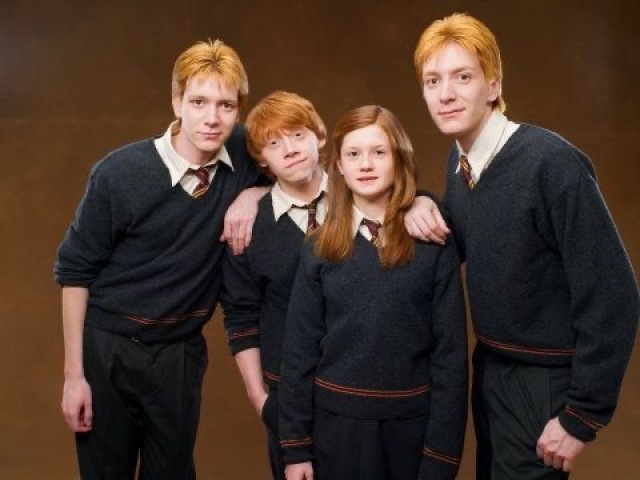 Qual dos Weasleys seria seu amigo?