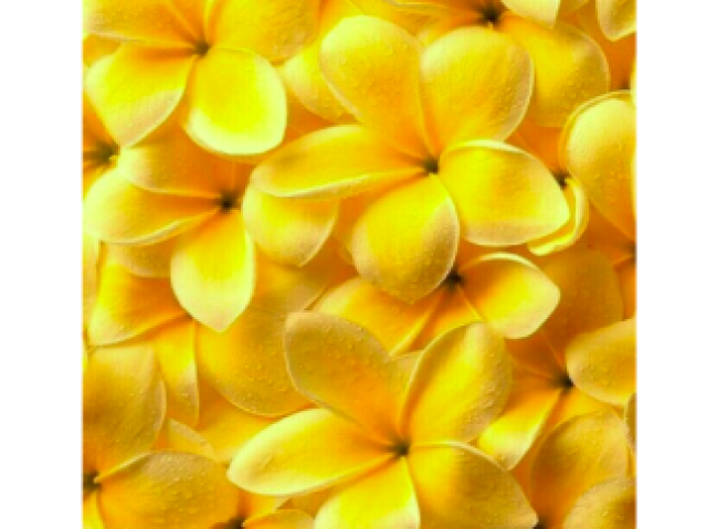 Amarelo