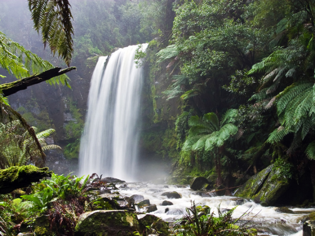 Passar um tempo sozinho na natureza, se conectando com as plantas e os animais